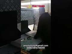 PE-100D Karton-Box-Strappmaschine